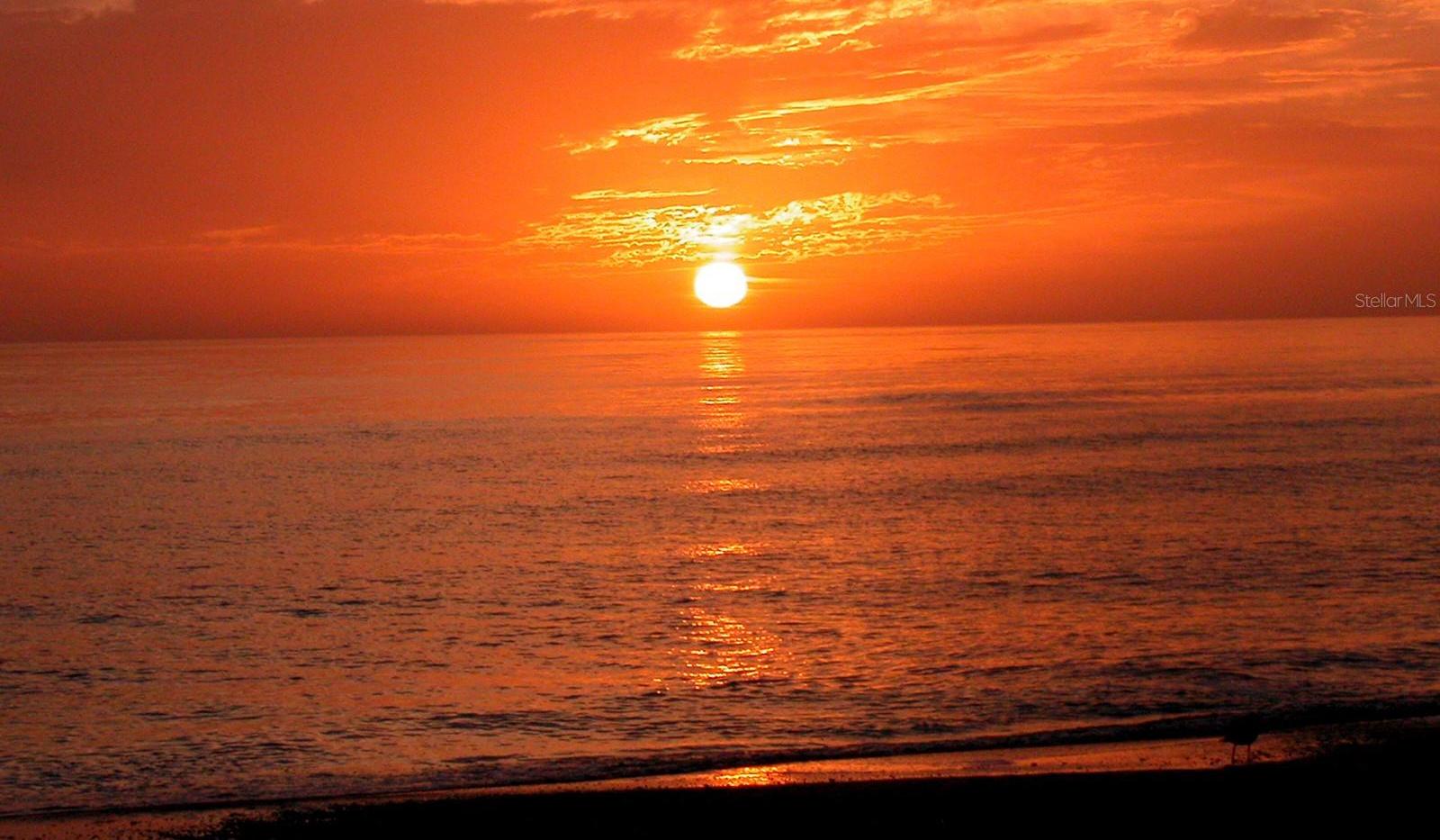 Photo #82