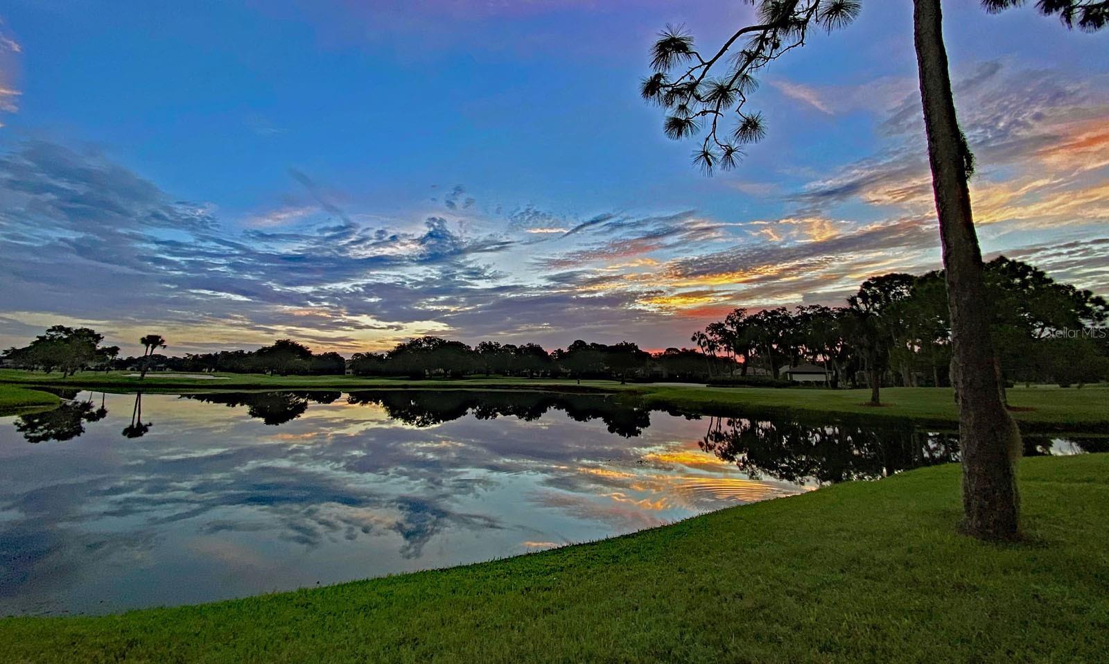 Photo #50