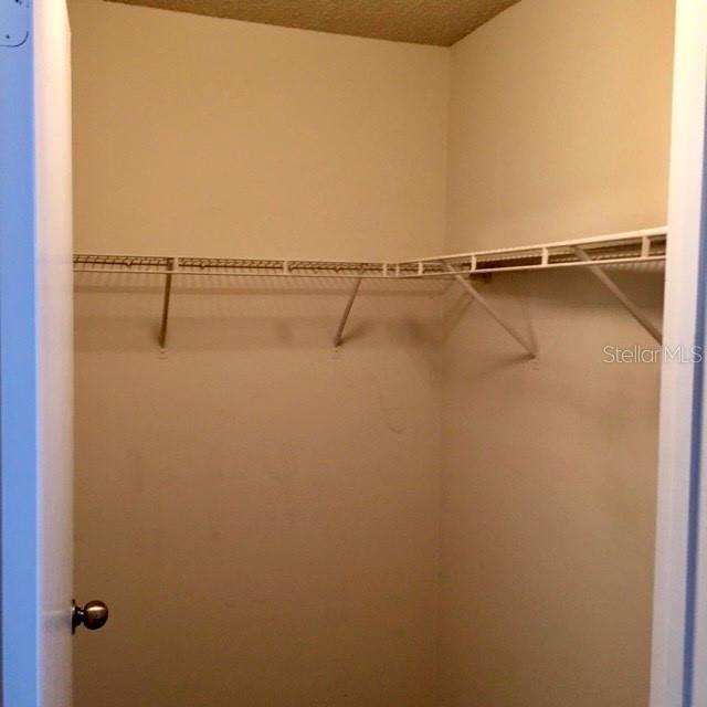 Photo #6