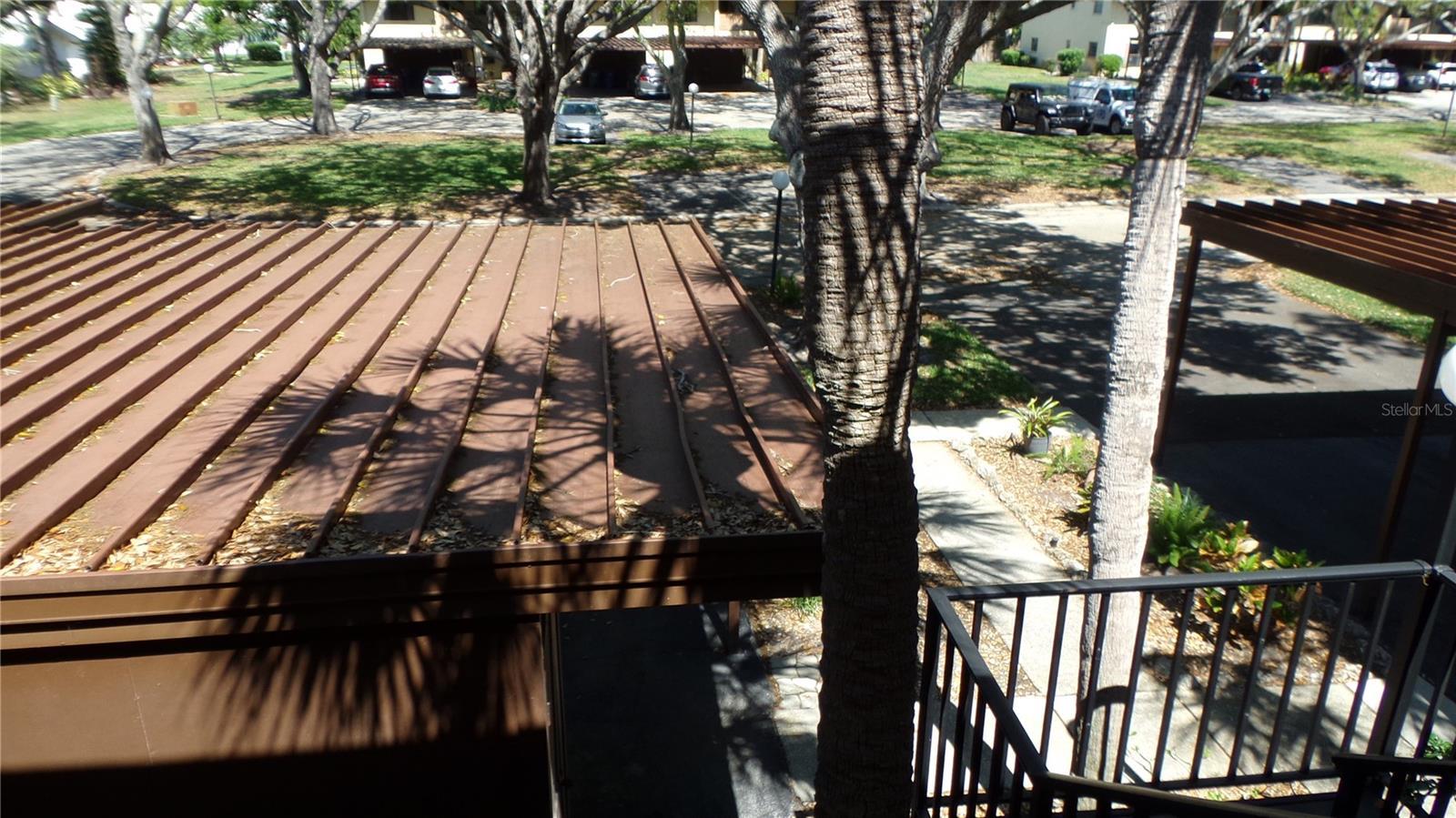 Photo #39