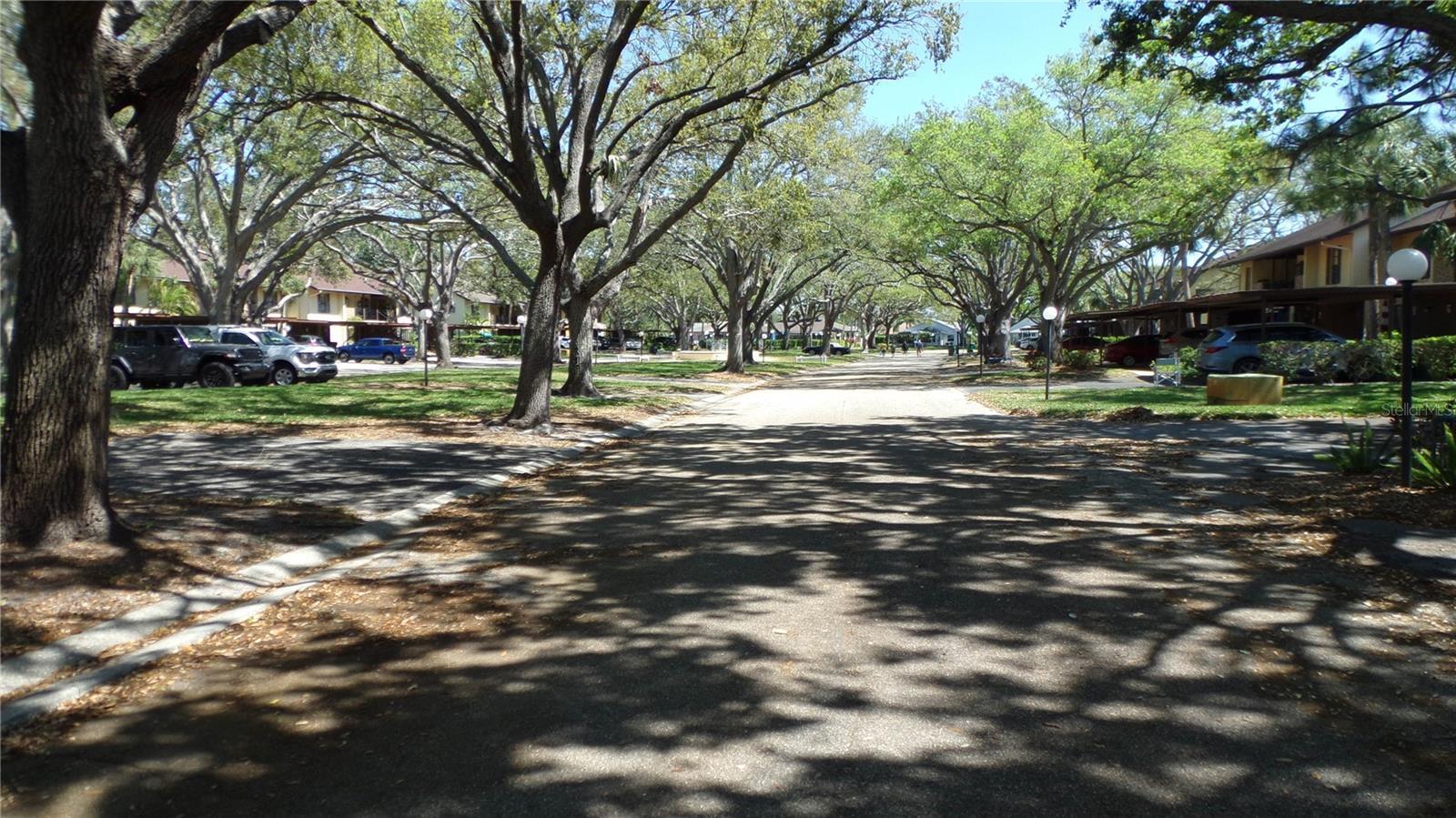 Photo #42