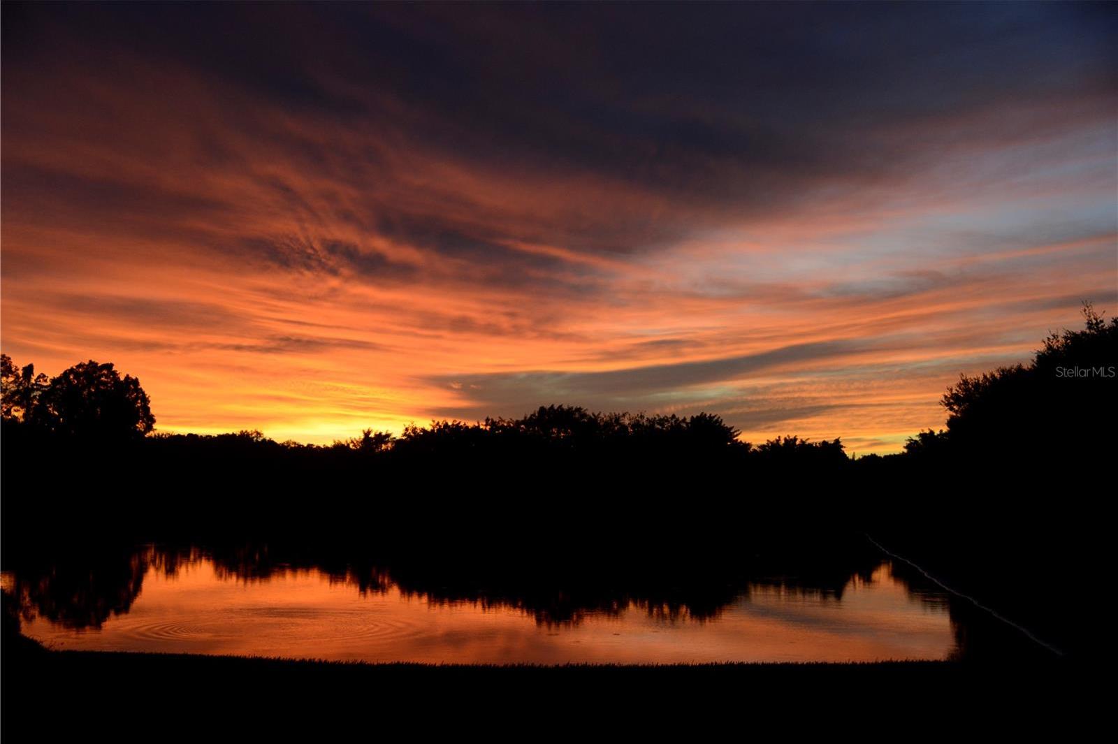 Photo #30