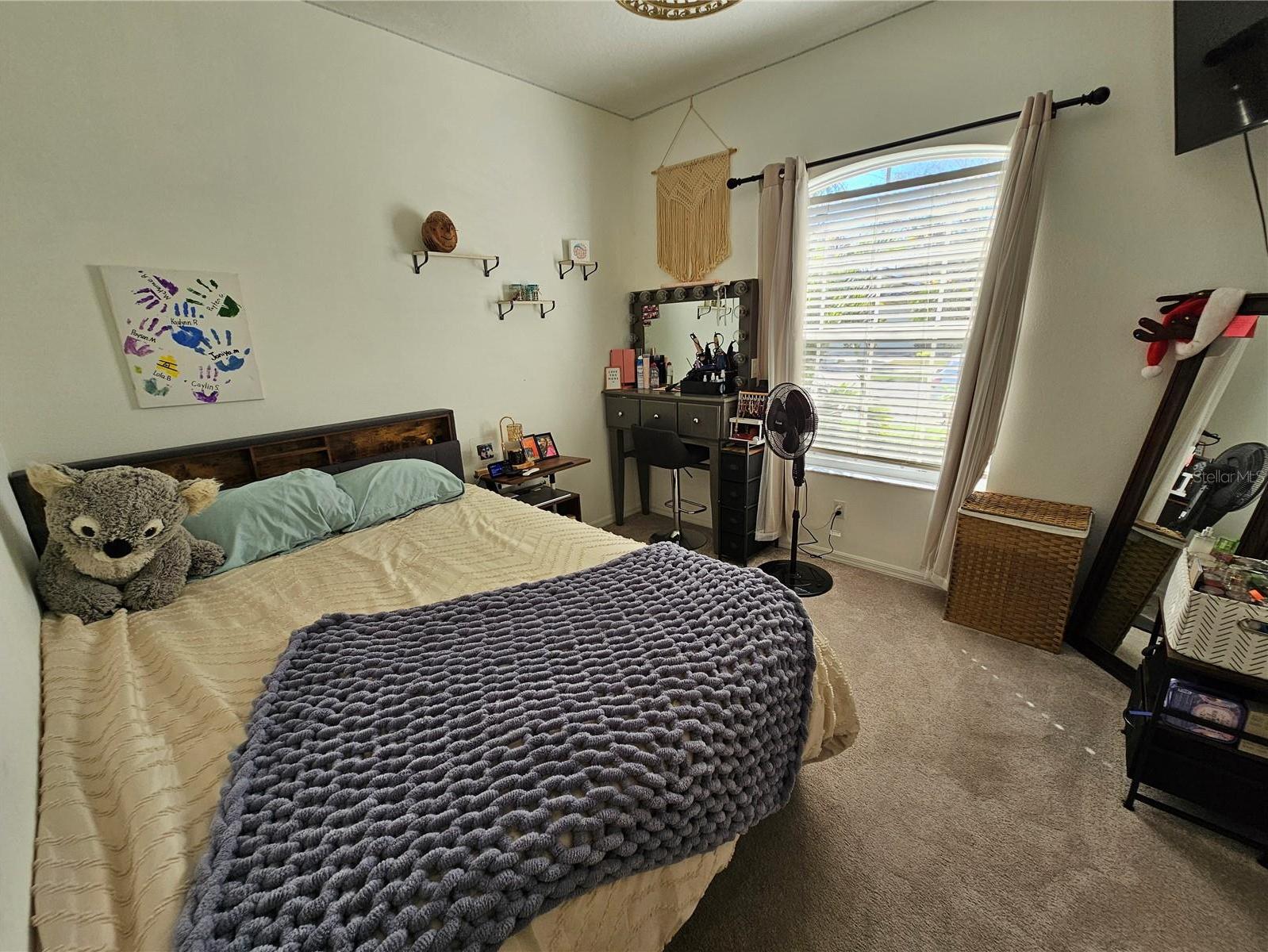 Photo #28