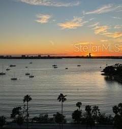 Photo #10