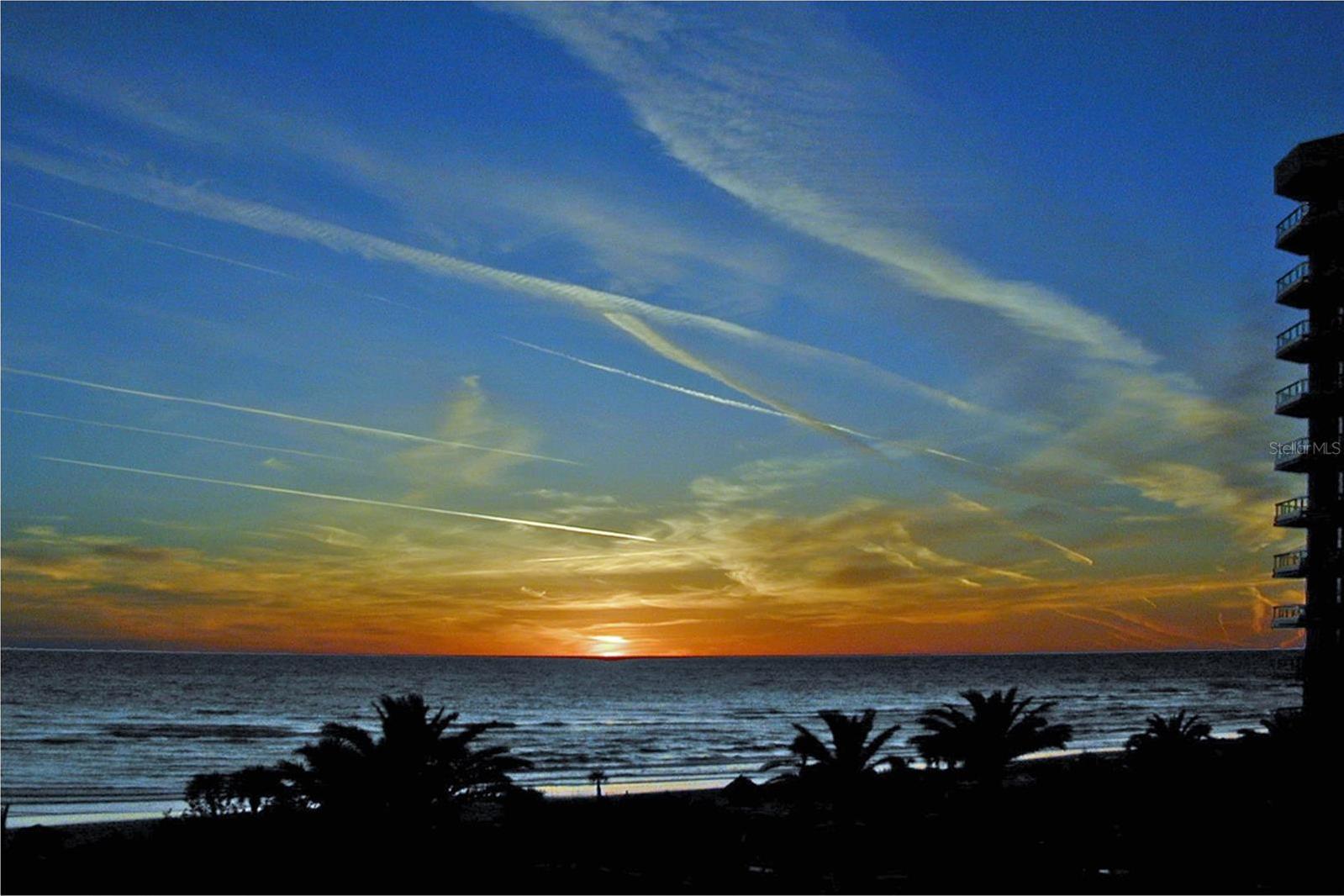 Photo #12