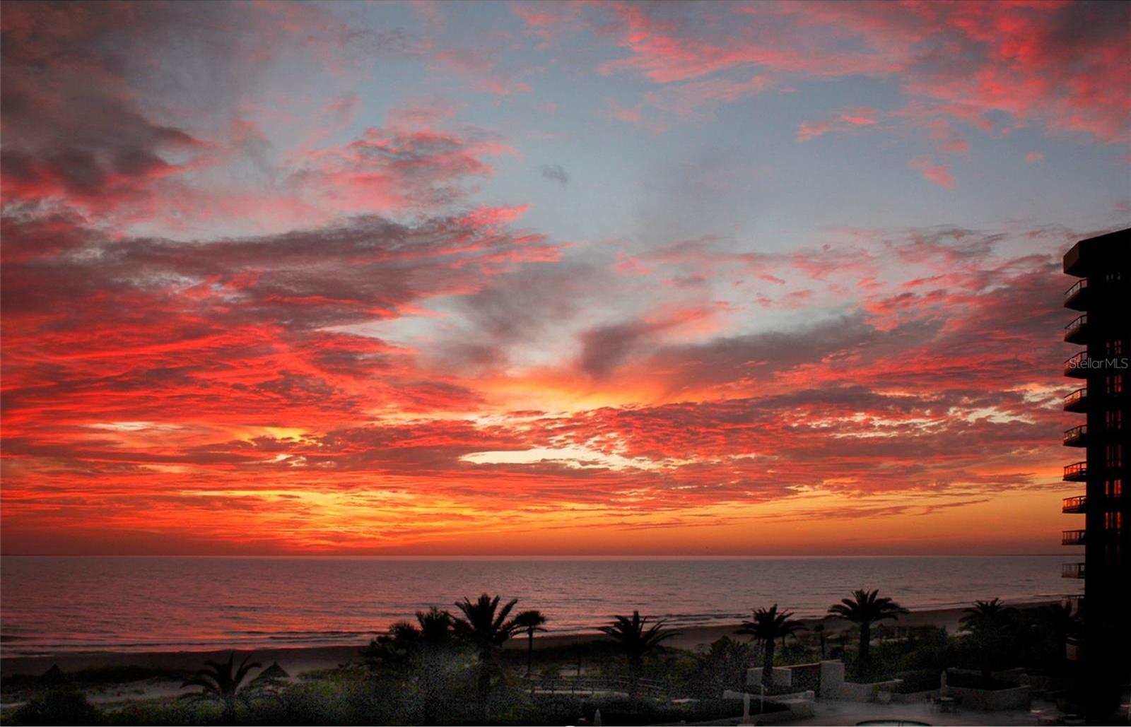 Photo #13