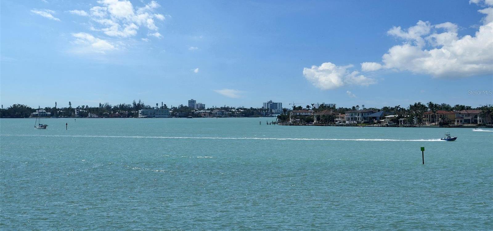 Photo #41