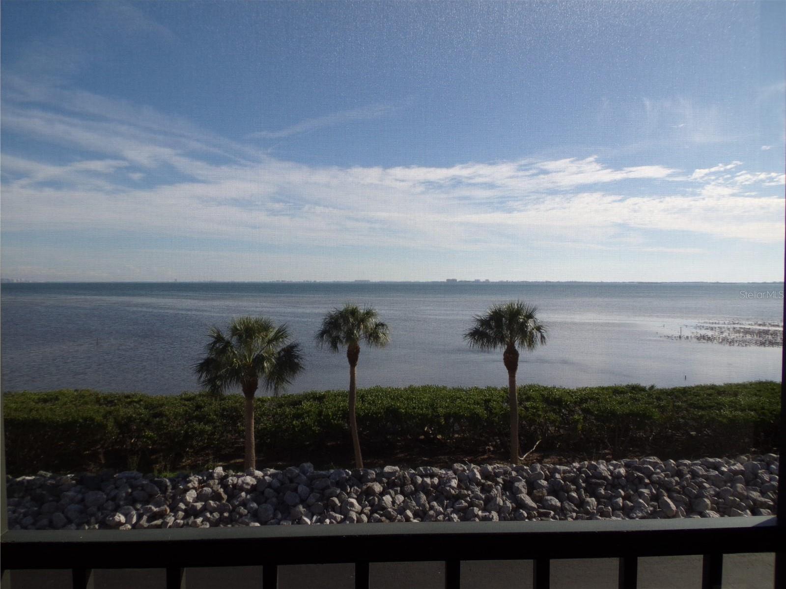Photo #23