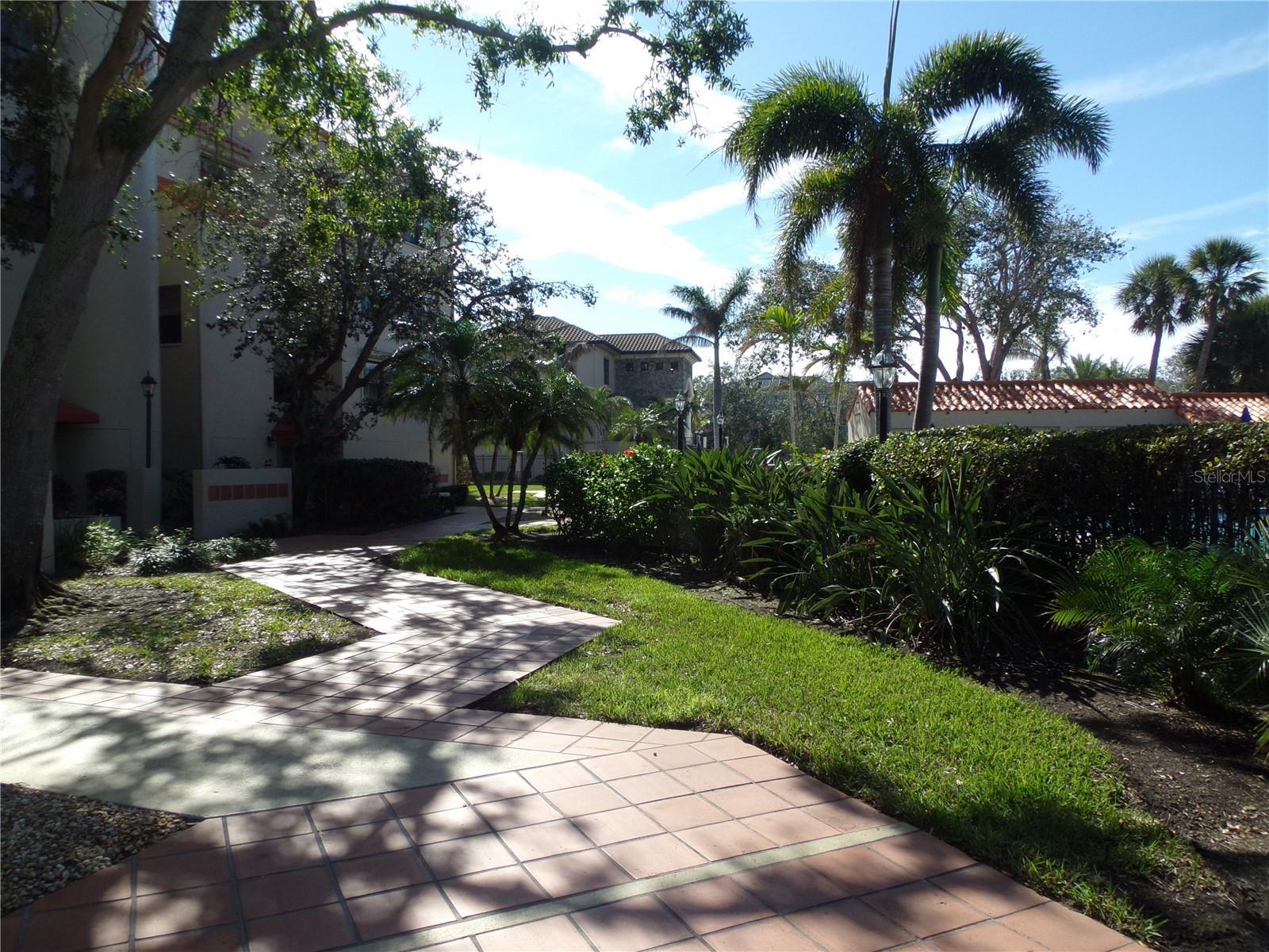 Photo #53