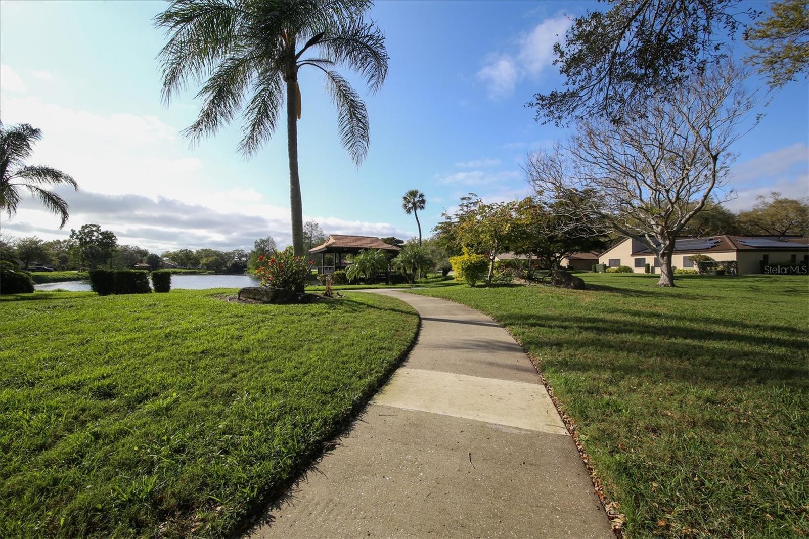 Photo #38