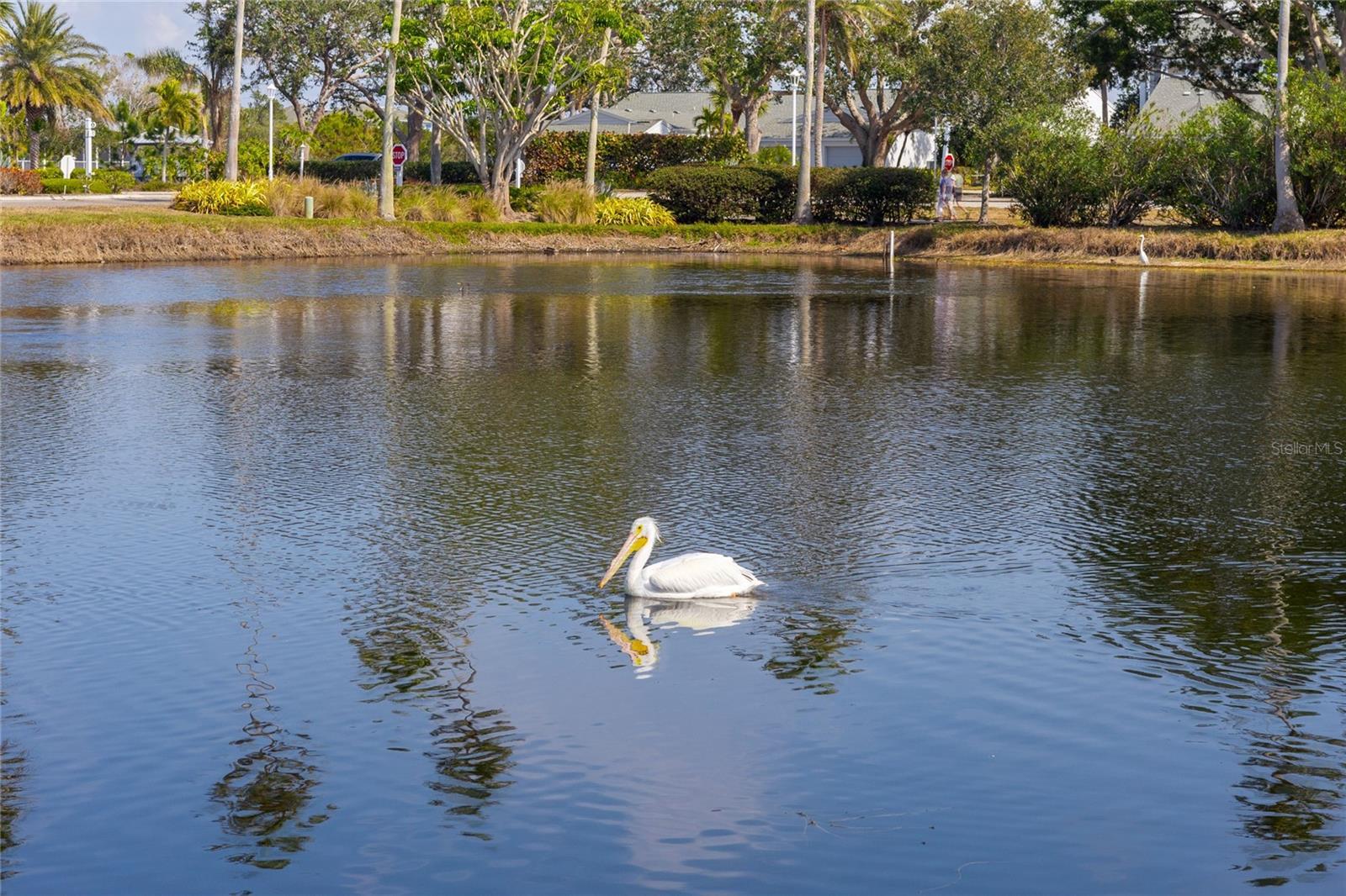 Photo #37