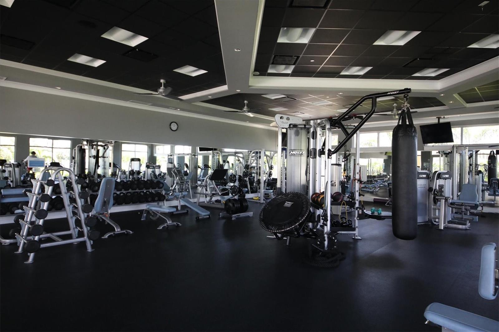 Photo #51