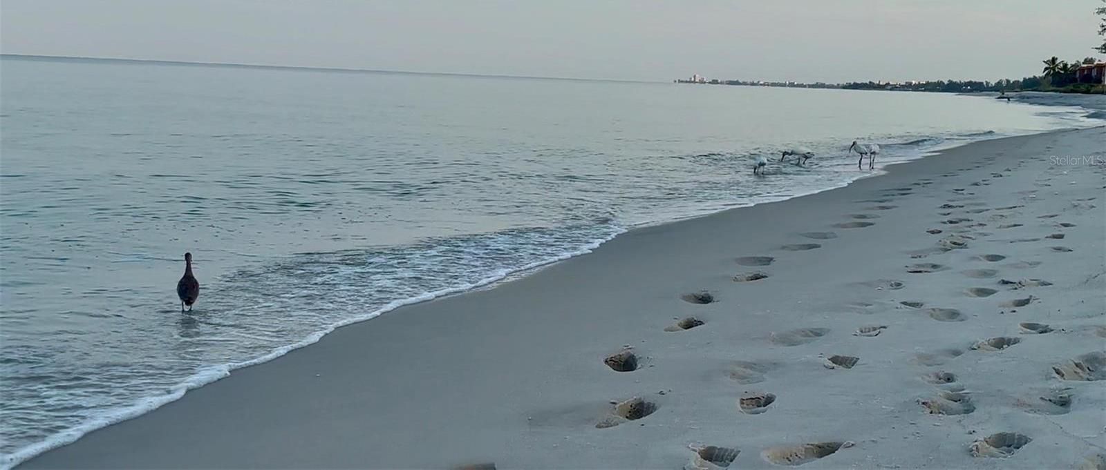 Photo #49