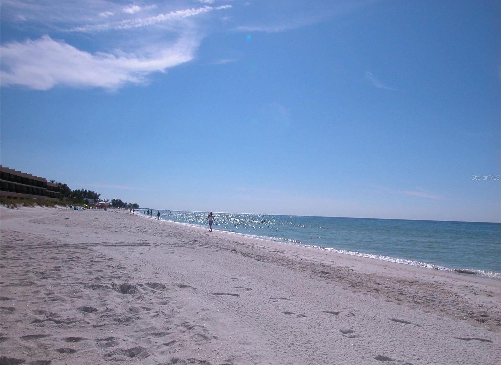 Photo #41