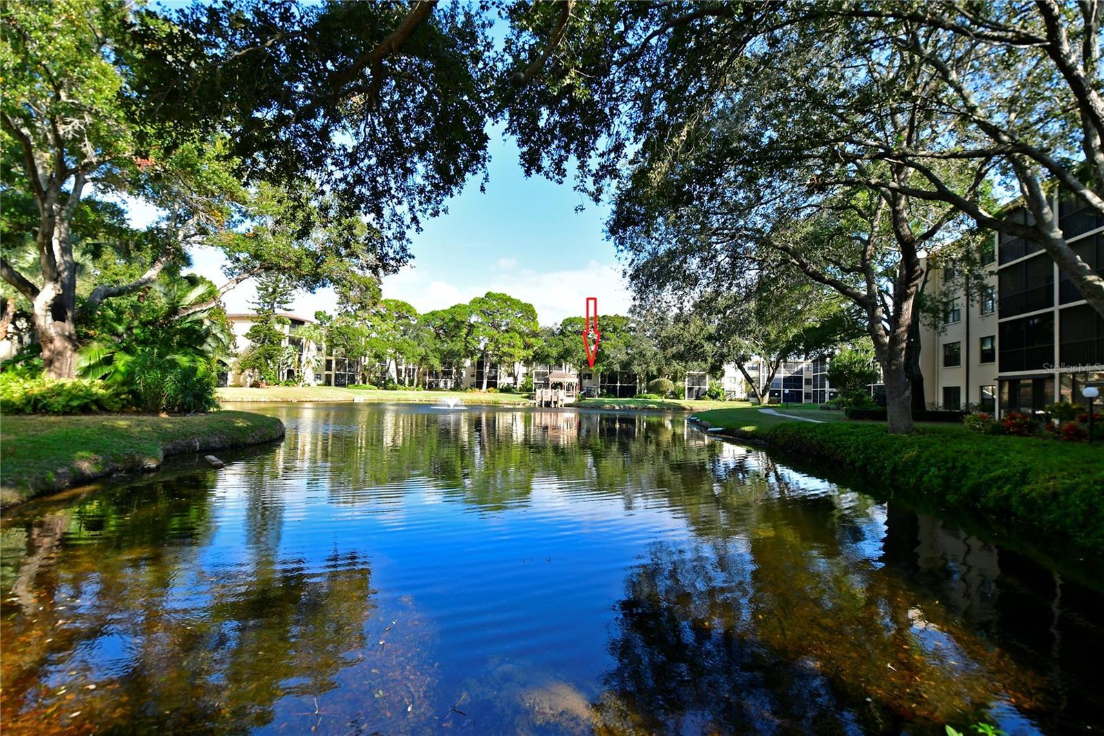 Photo #2