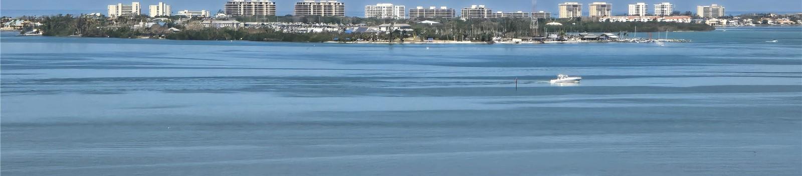 Photo #38