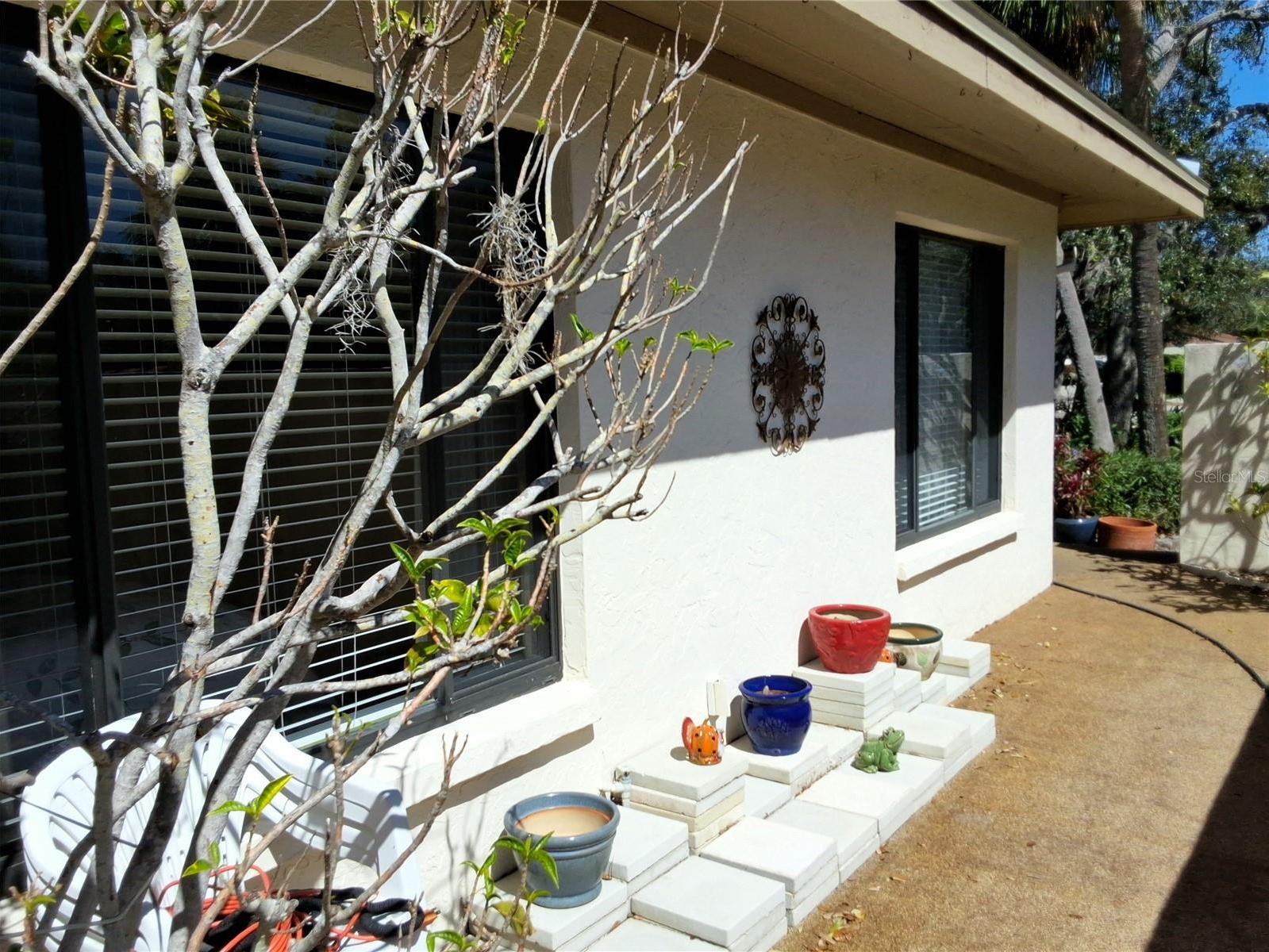 Photo #5