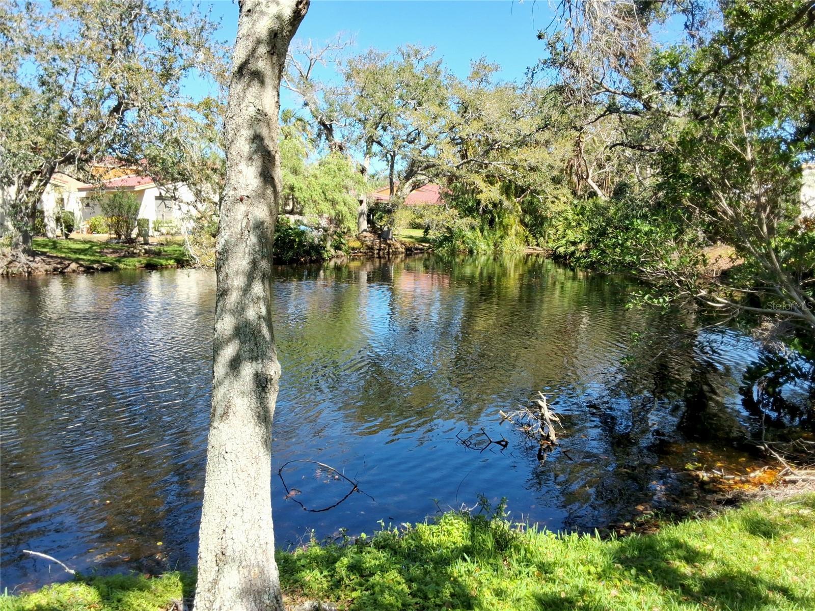 Photo #69