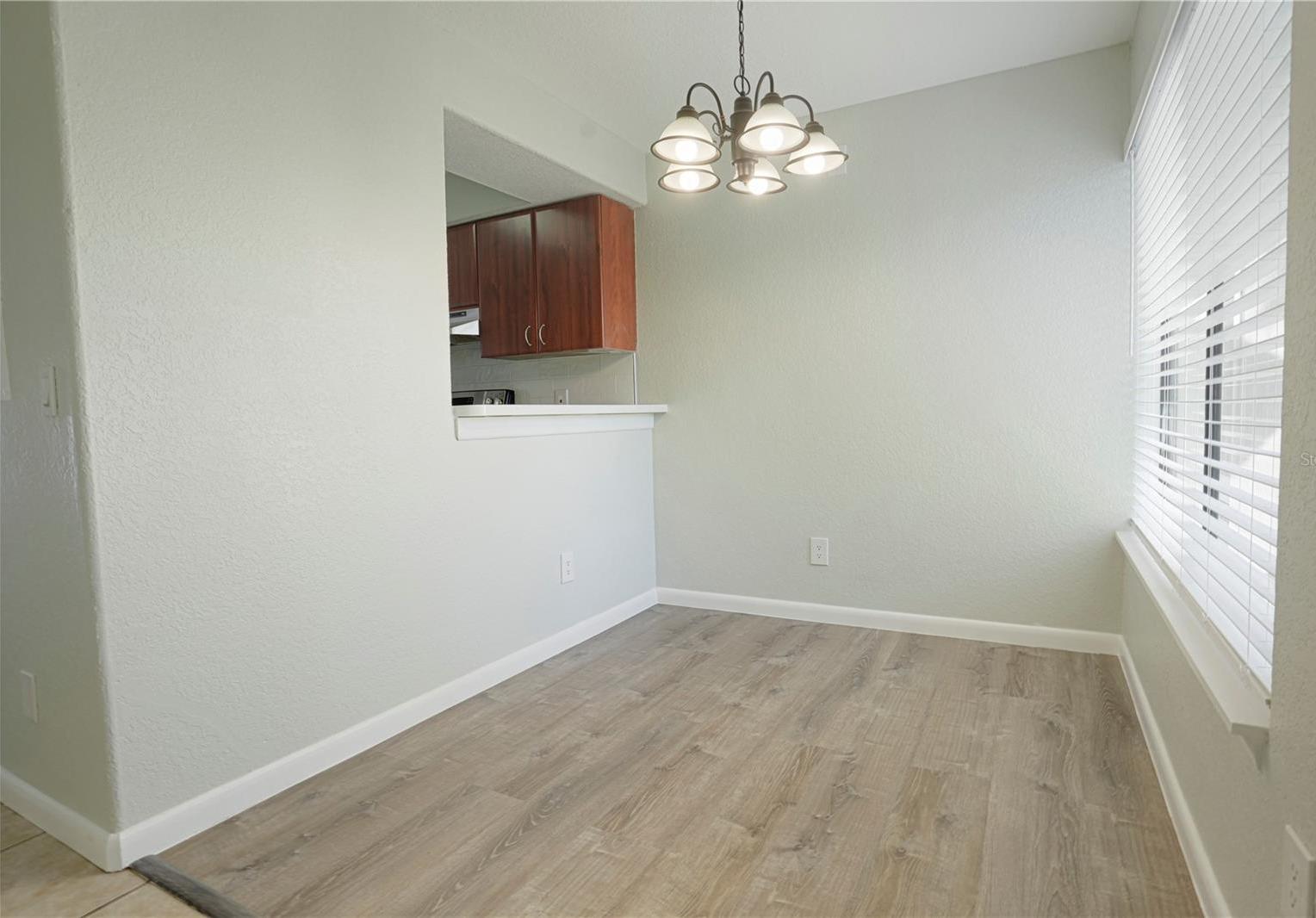 Photo #5