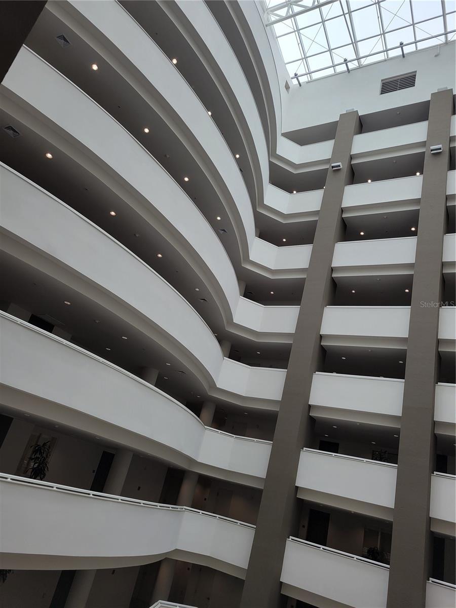 Photo #10