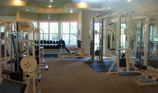 Photo #15