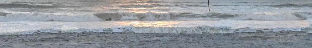 Photo #49