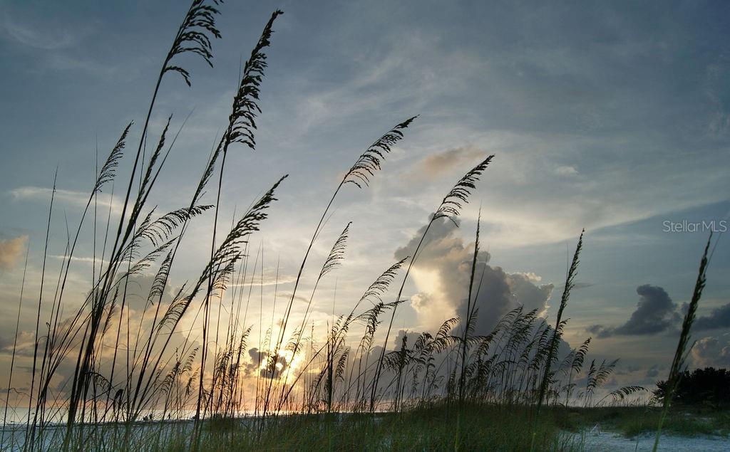 Photo #48