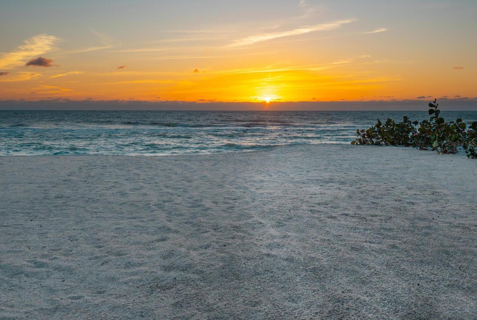 Photo #56