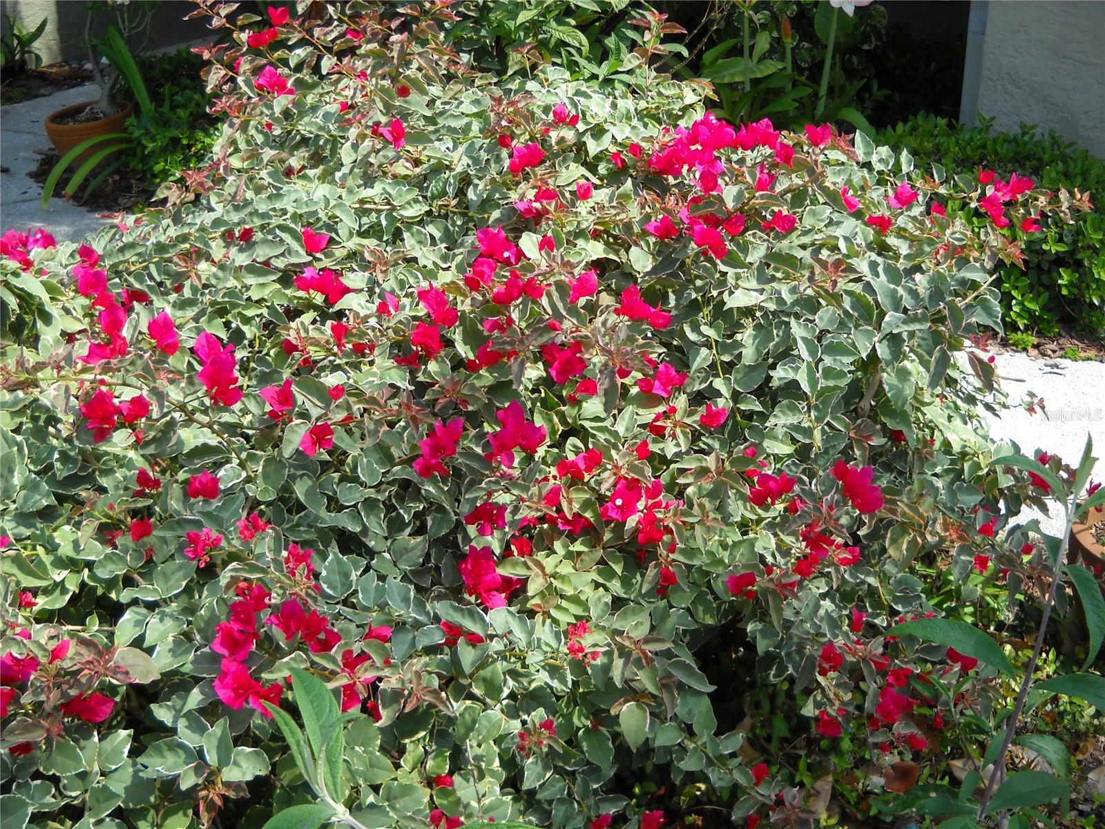 Photo #6