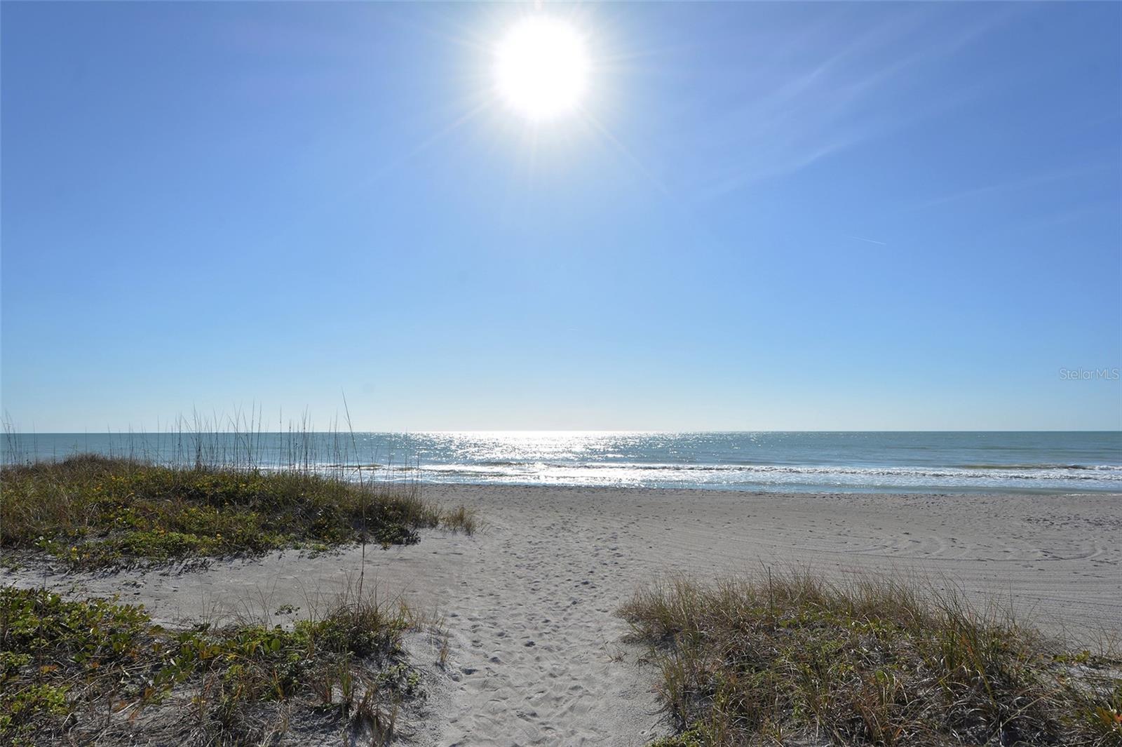 Photo #39