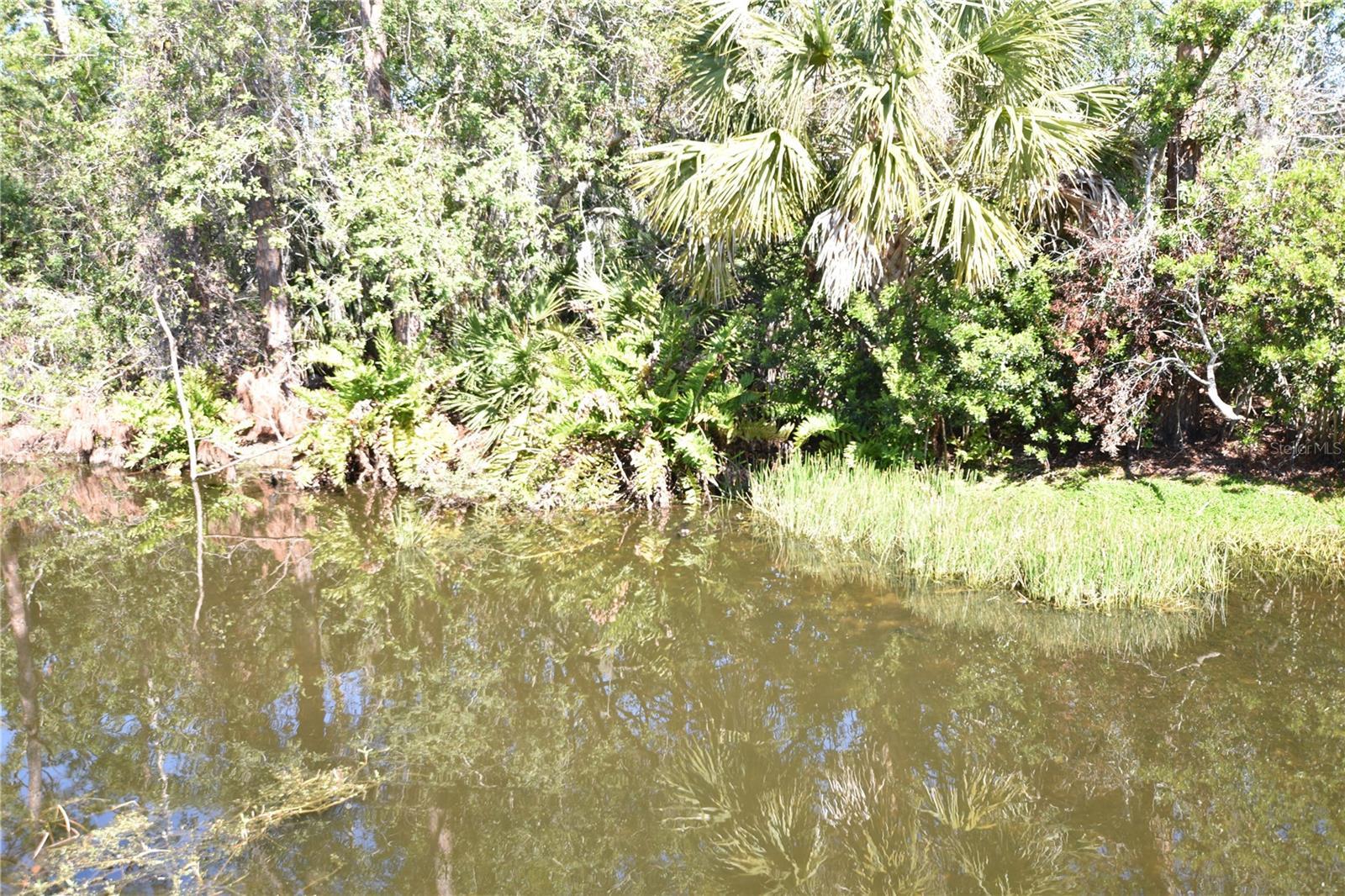 Photo #13