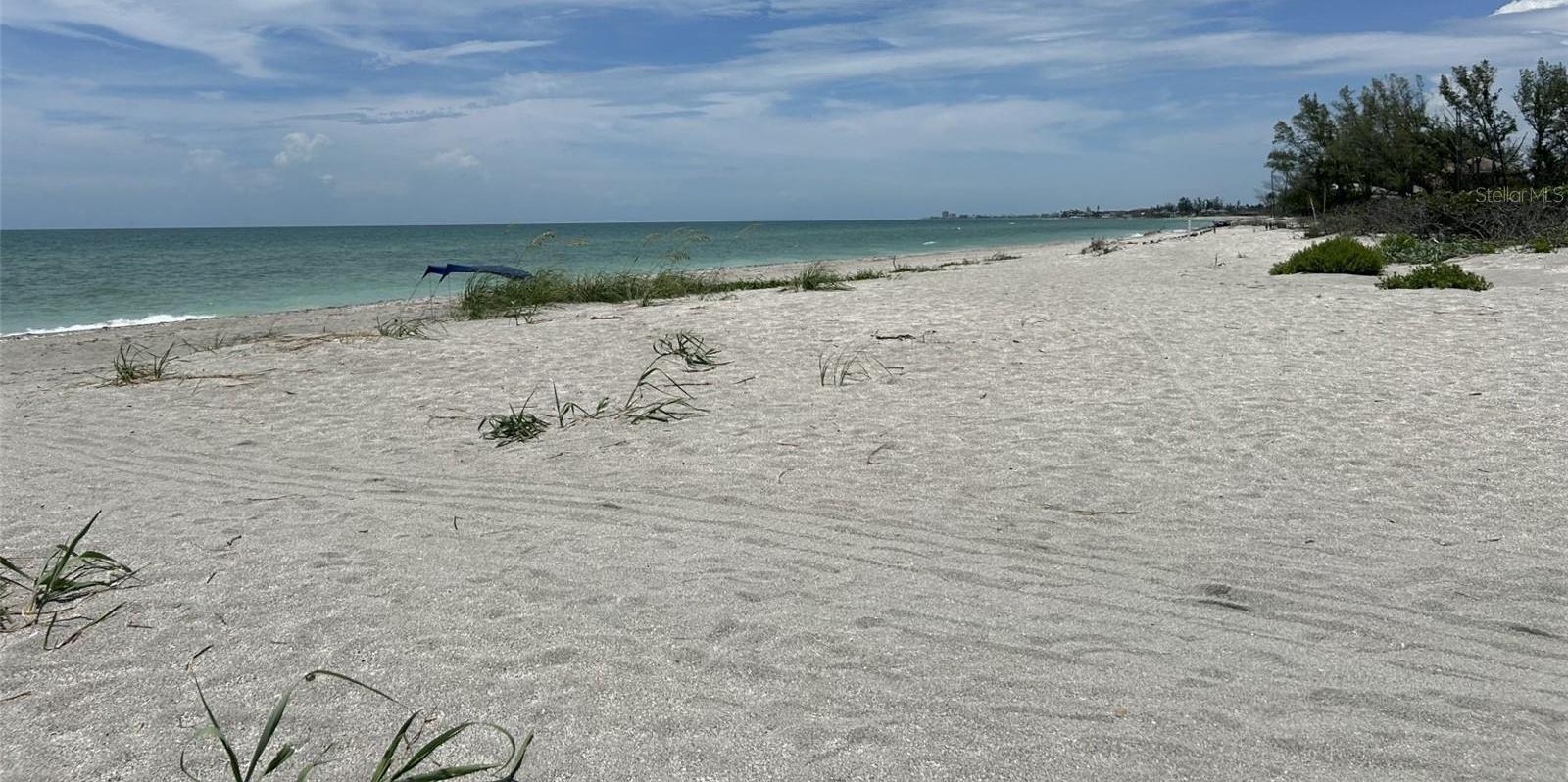 Photo #49