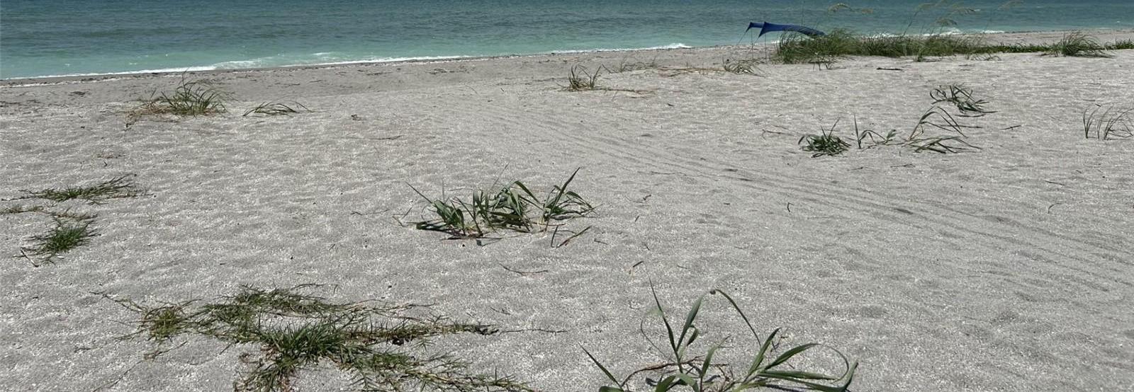 Photo #66