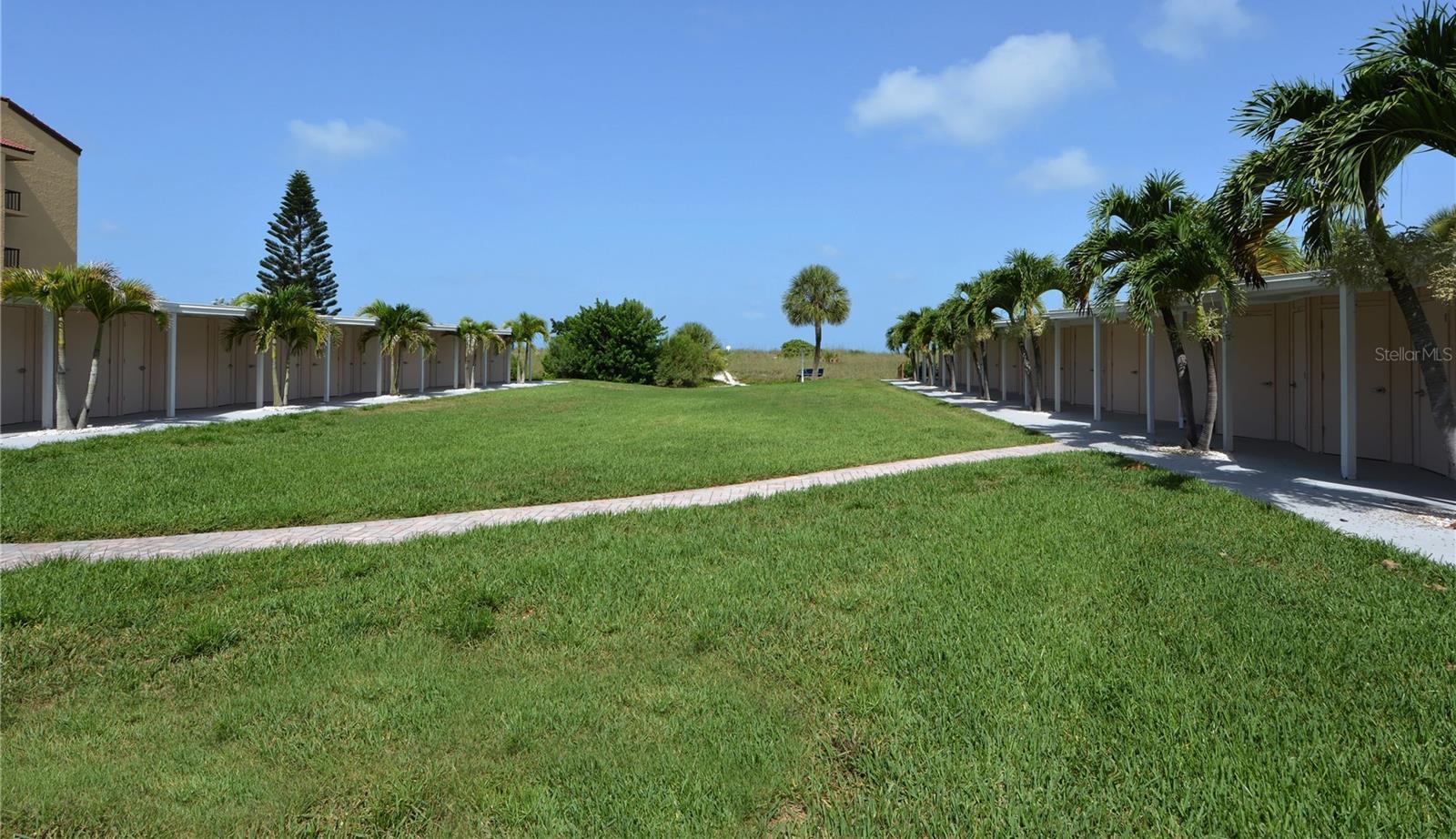 Photo #43
