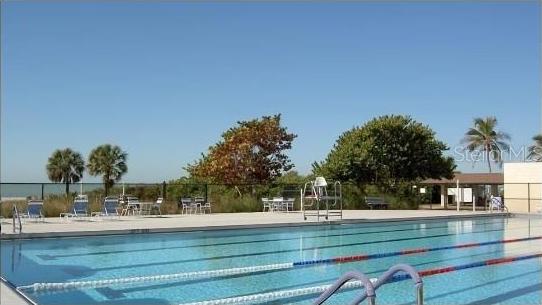 Photo #13