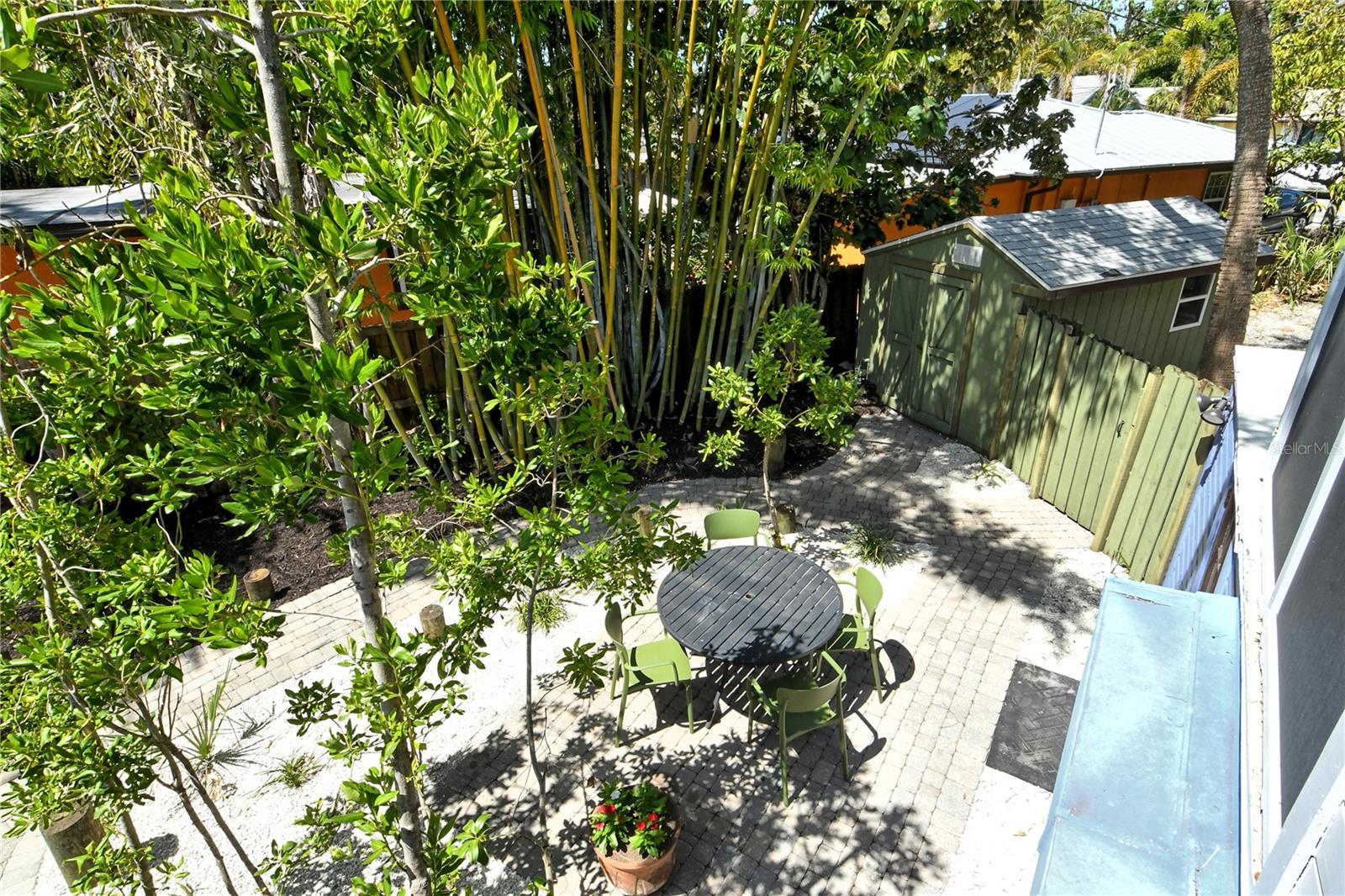 Photo #10