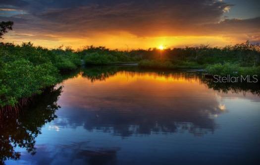 Photo #55