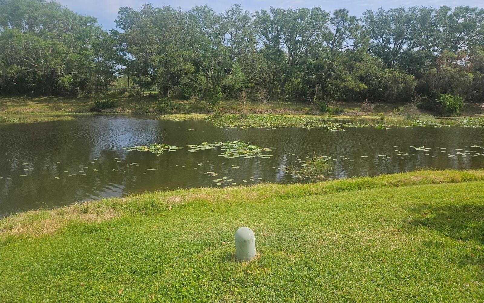 Photo #3
