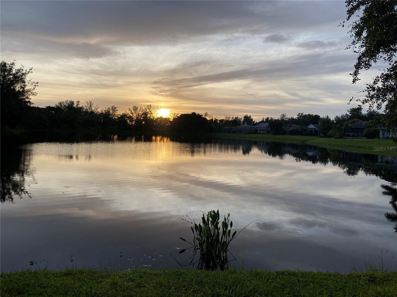 Photo #42