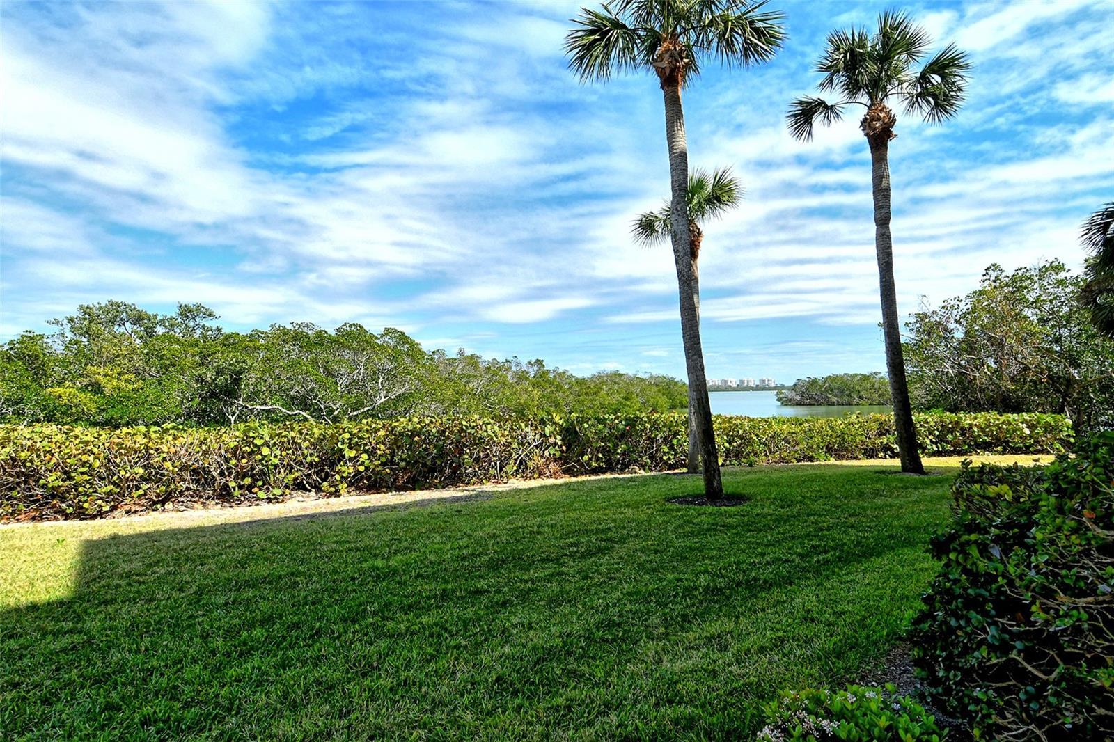 Photo #38