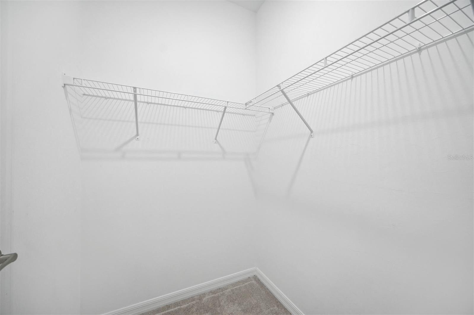Photo #13