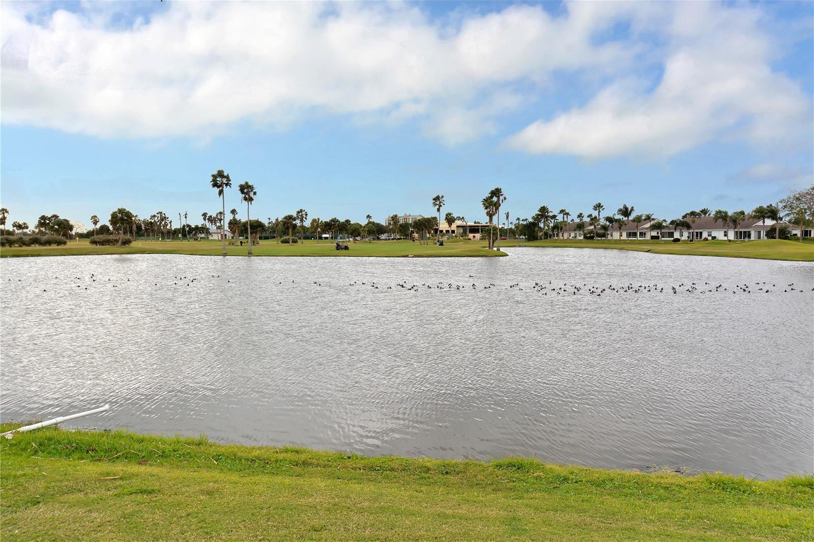 Photo #53