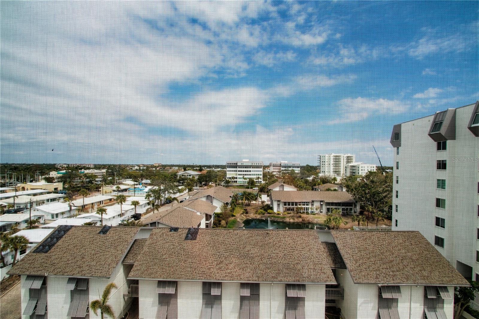 Photo #15