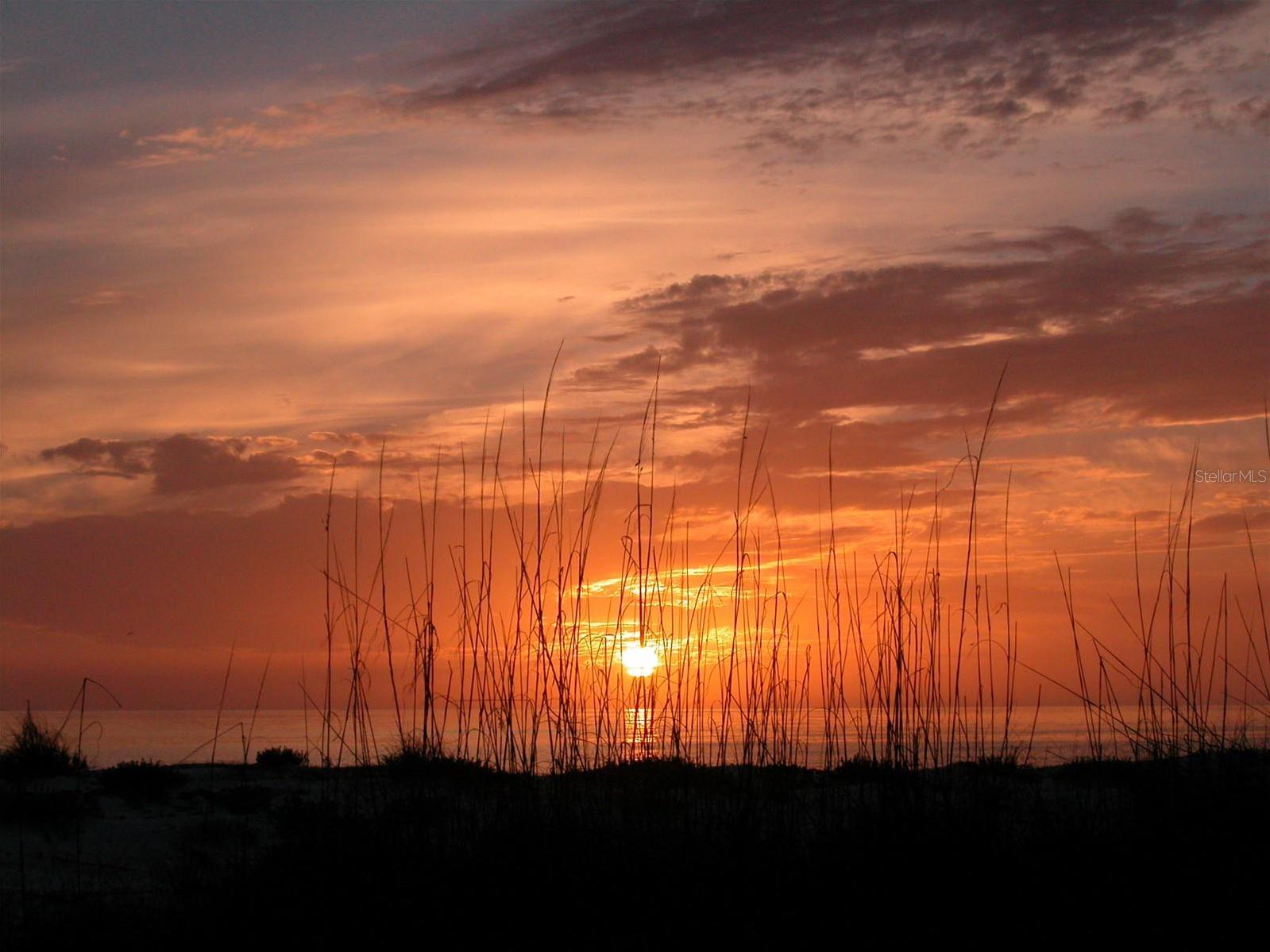 Photo #40