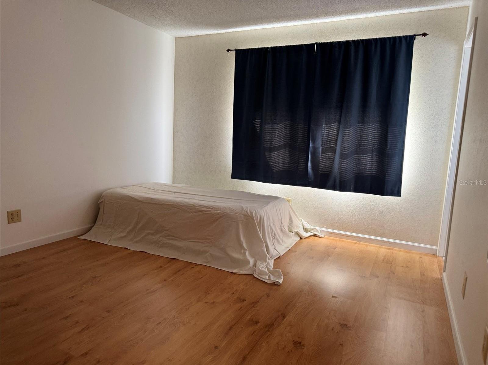 Photo #11