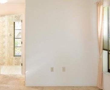Photo #12