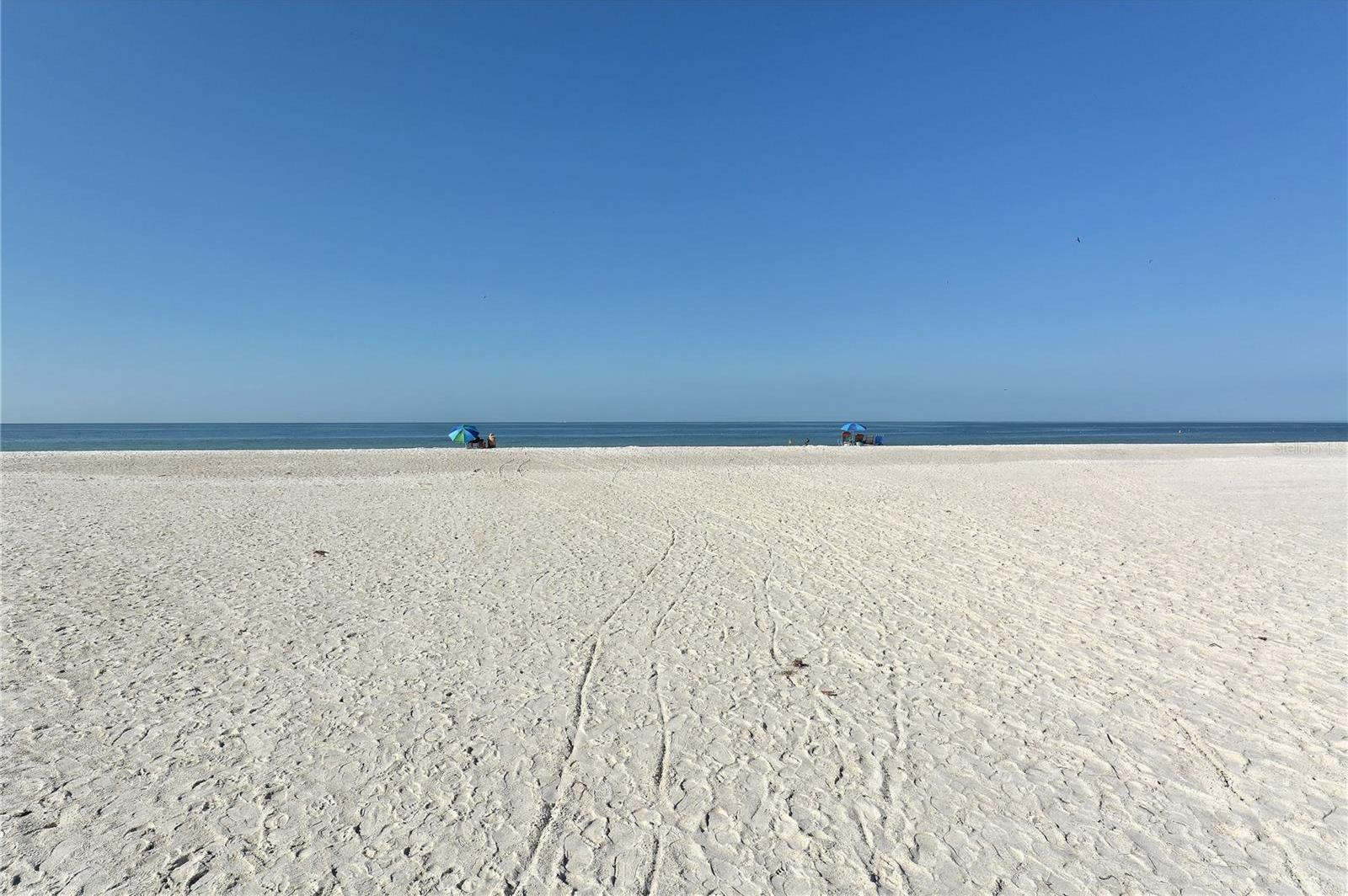 Photo #43