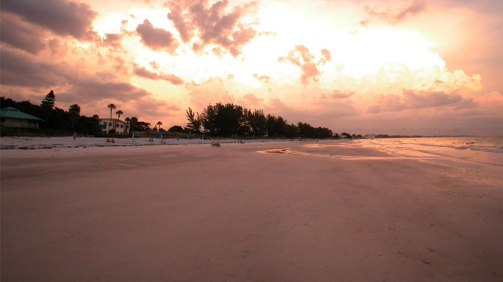 Photo #56
