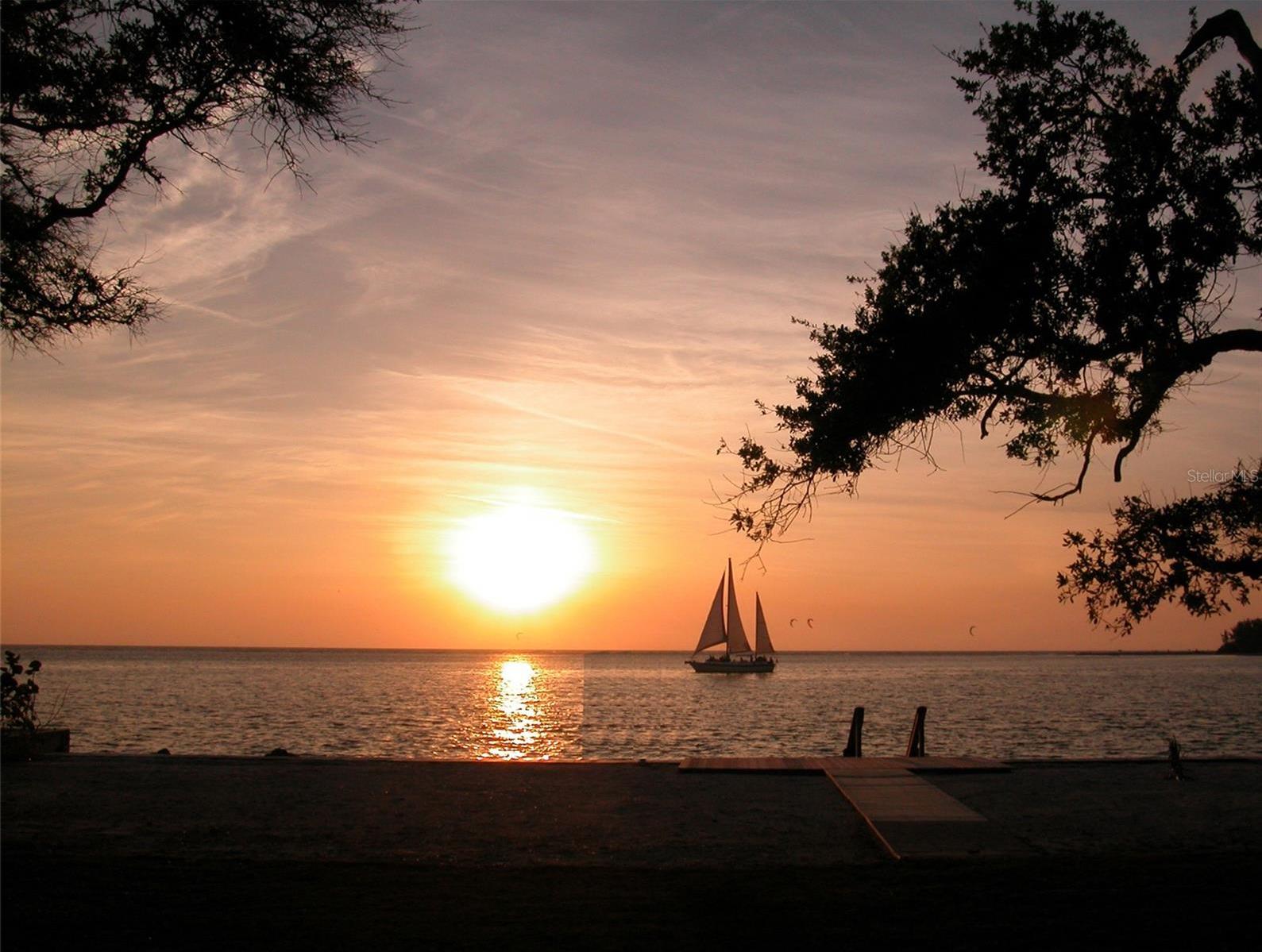 Photo #57