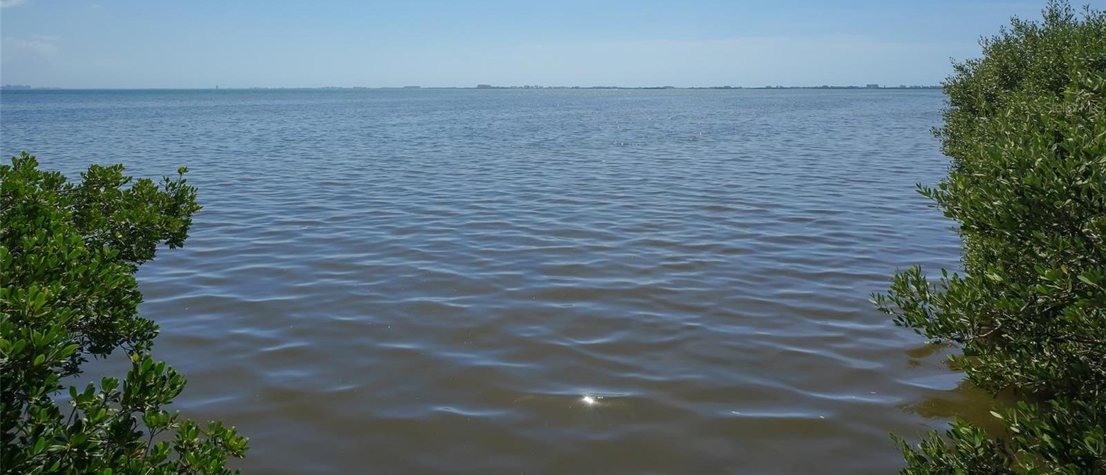 Photo #52